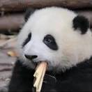 默丶s