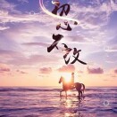綠意人生q的頭像