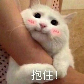 安好🎤等光来主播照片