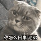 李世博q