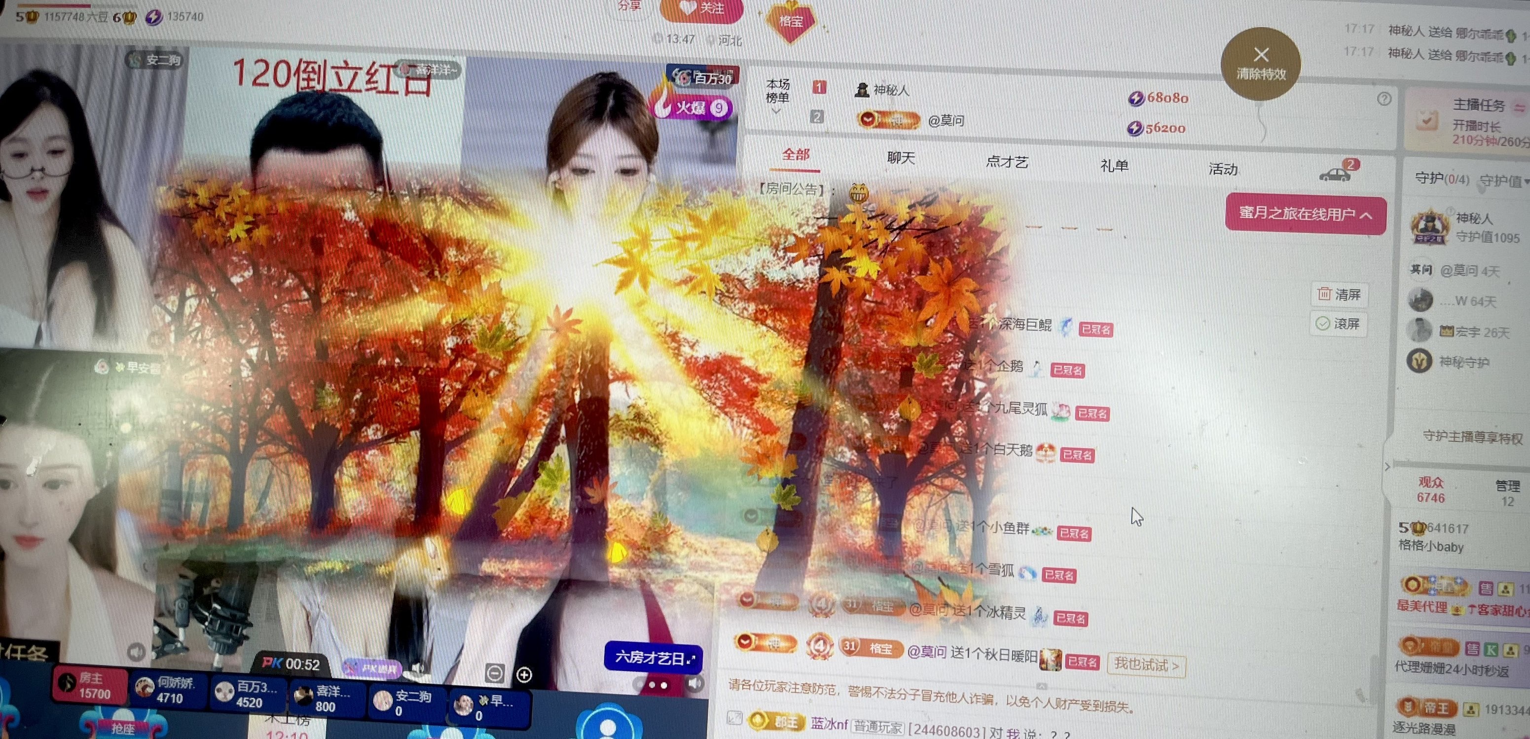 格格小baby的图片