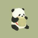 椰子樹??沙發(fā)布的頭像