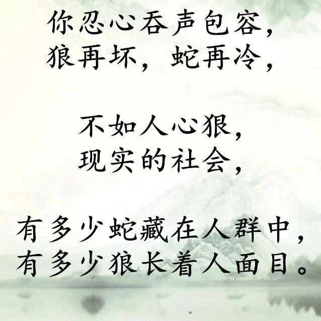 小嘴叭叭挺能唠海报