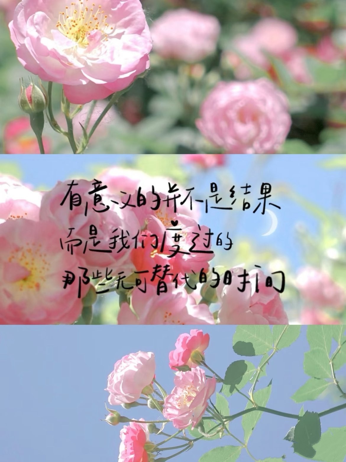 倾城🌸跳舞最哇塞的图片
