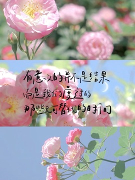 倾城🌸跳舞最哇塞主播照片