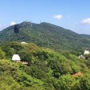 楊景豐（1）的頭像