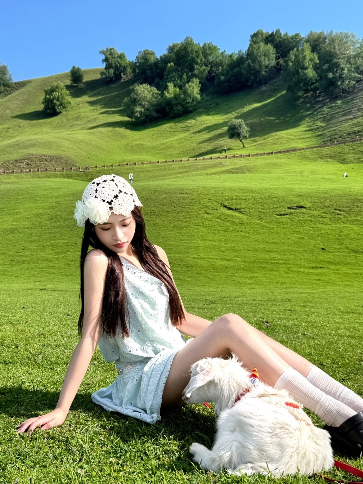 脆弱許晚聽主播圖片