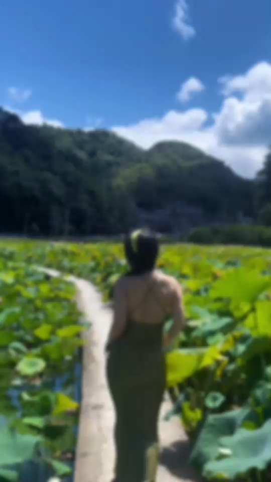 水有定 花有盡 會相