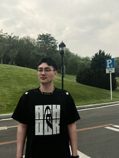 大龙归来海报