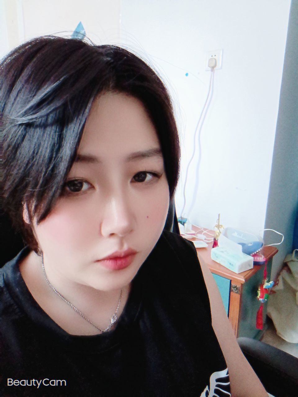 甜甜私房猫_的图片
