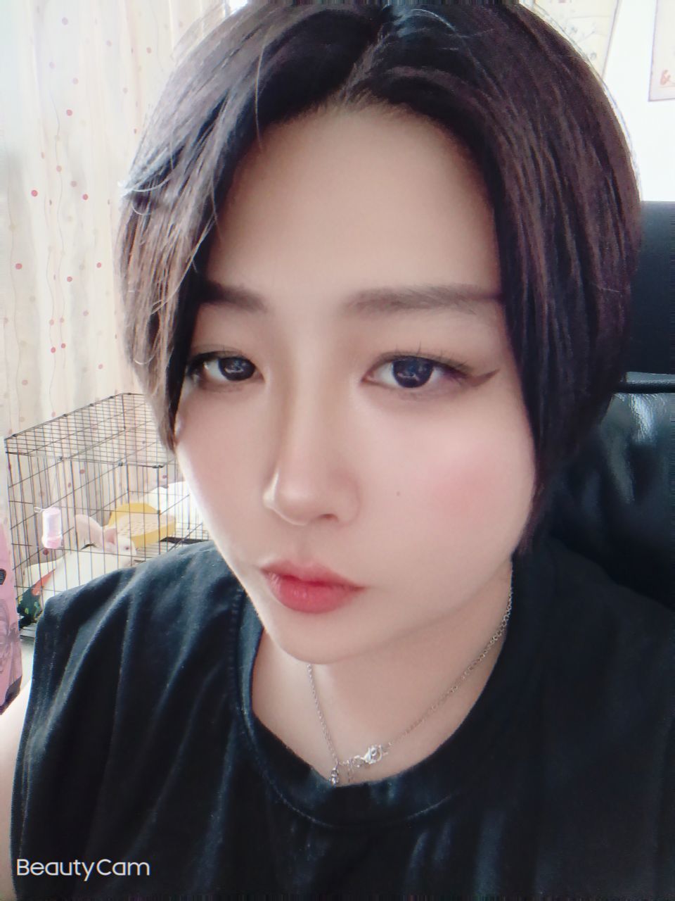 甜甜私房猫_的图片