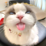 你不靠譜的爹來了的頭像