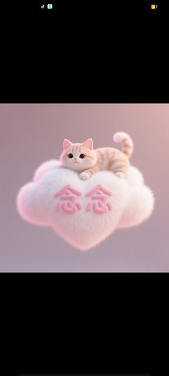 ℳ念念🎀一枕黑甜主播照片