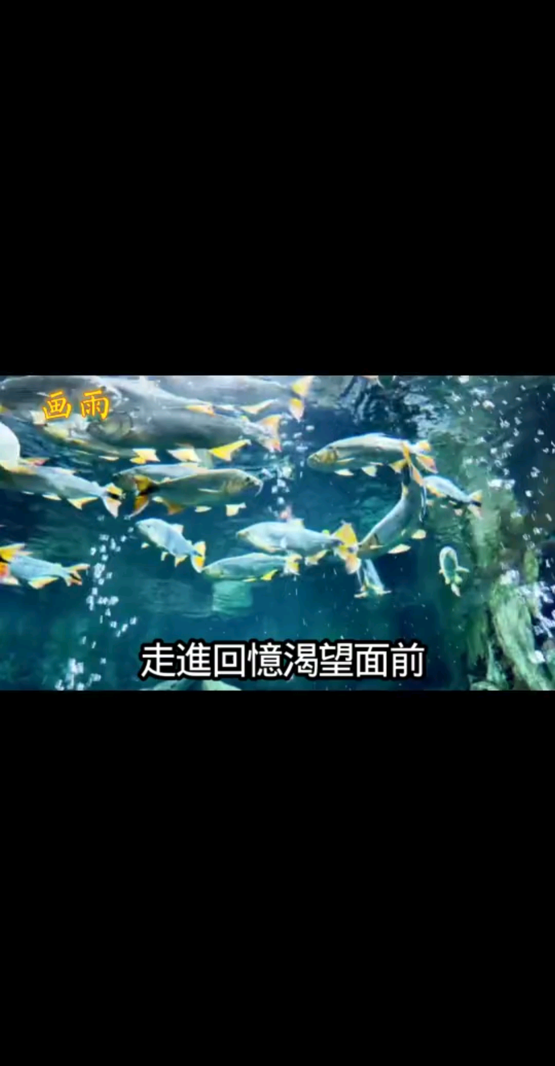 海阔连天走不尽，恩恩怨怨难算计