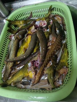 保♂罗主播照片
