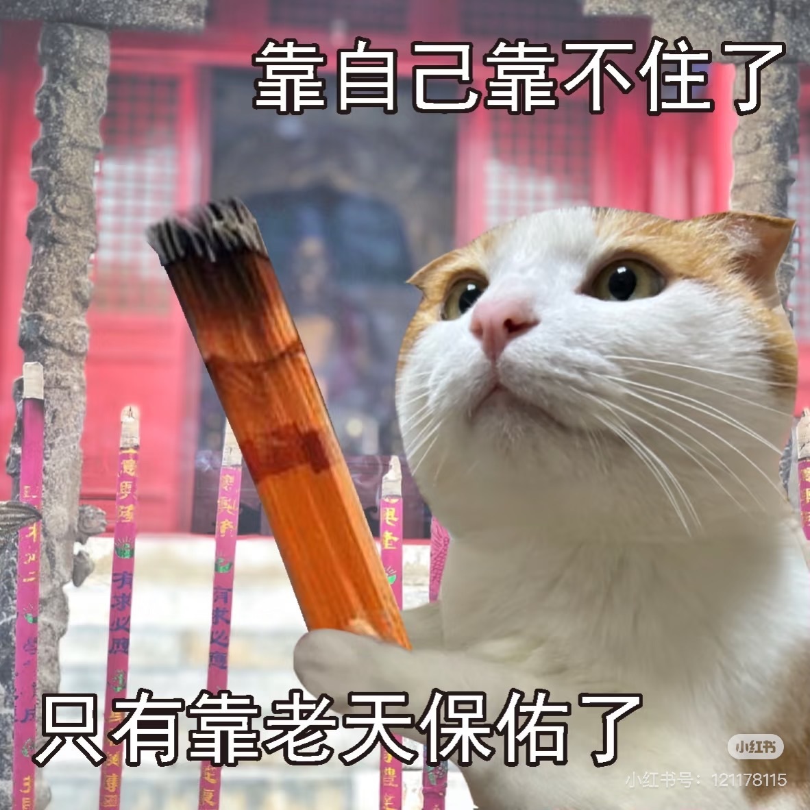 雨萌💕的图片