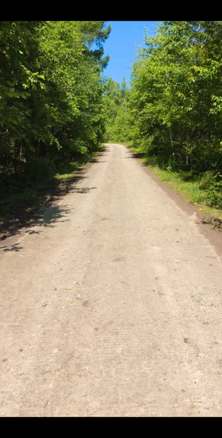 山间小路