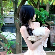 小小涵.🦄