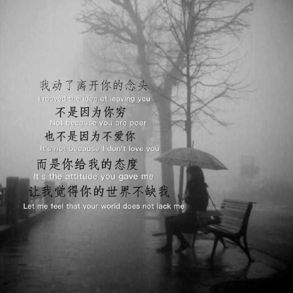 叮.当的图片