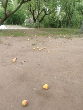 天王盖地虎044主播照片