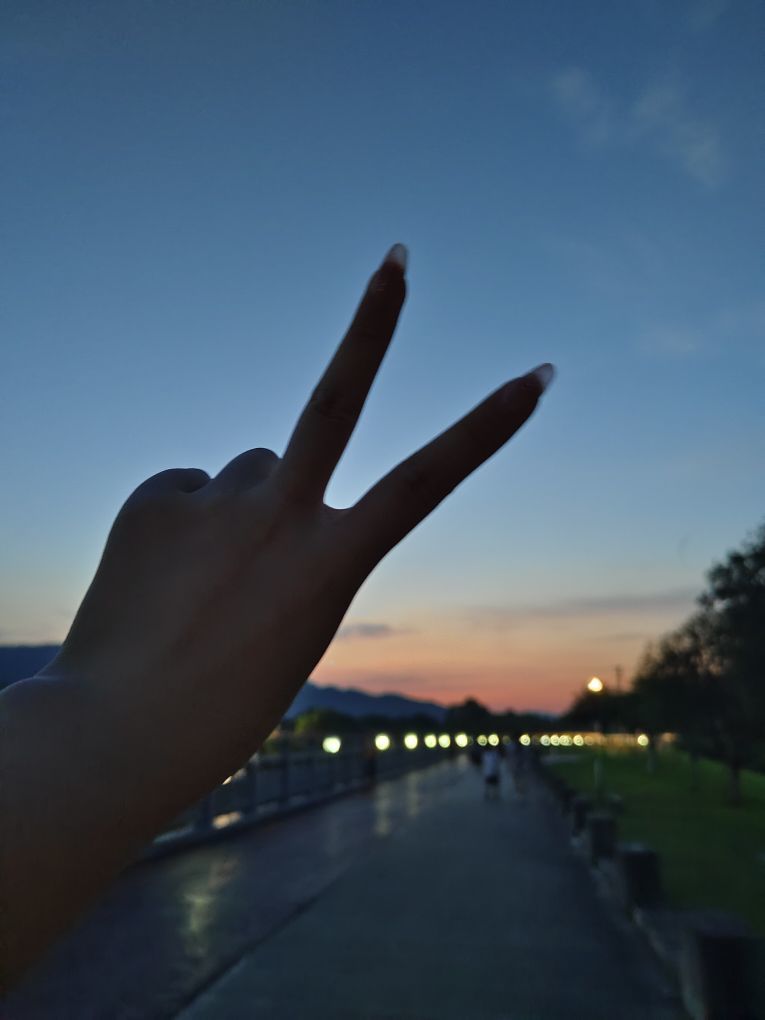 陈意礼🐋的主播照片