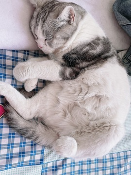 新人小喵🐱主播照片