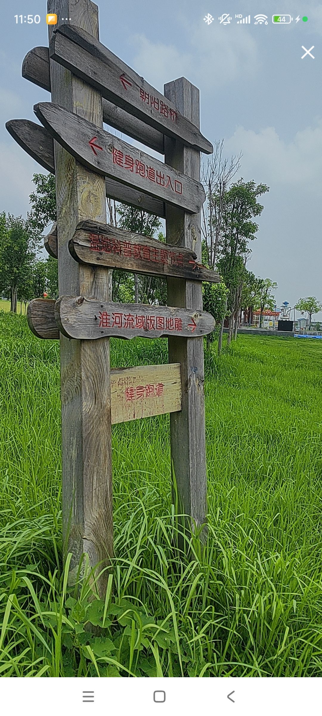 婷婷💕感恩有你陪伴的图片