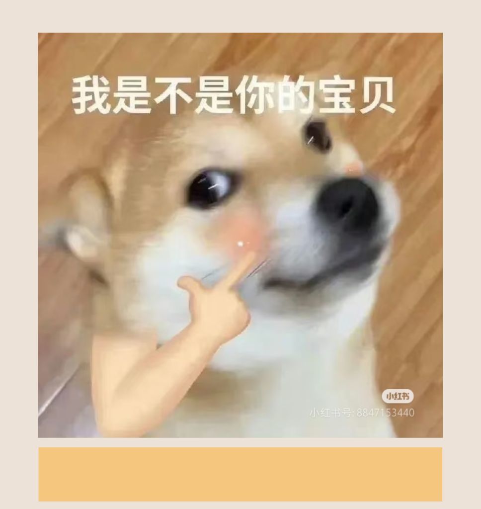 新人莳悦的图片