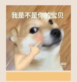 新人莳悦主播照片