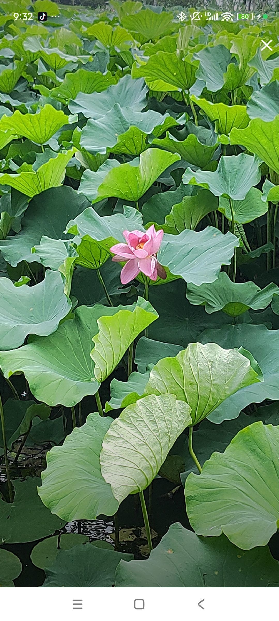 婷婷💕感恩有你陪伴的图片