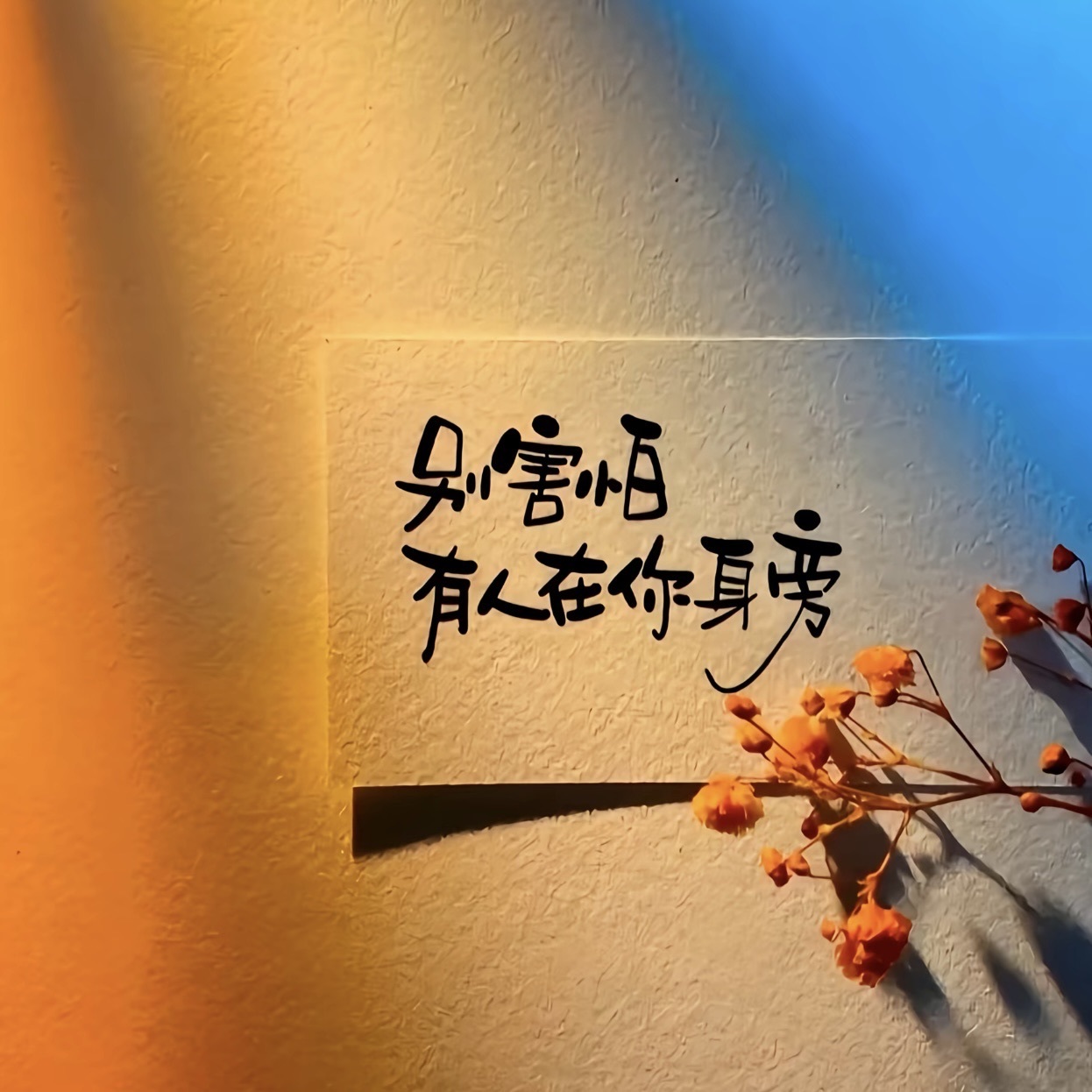 嘉璐•的图片