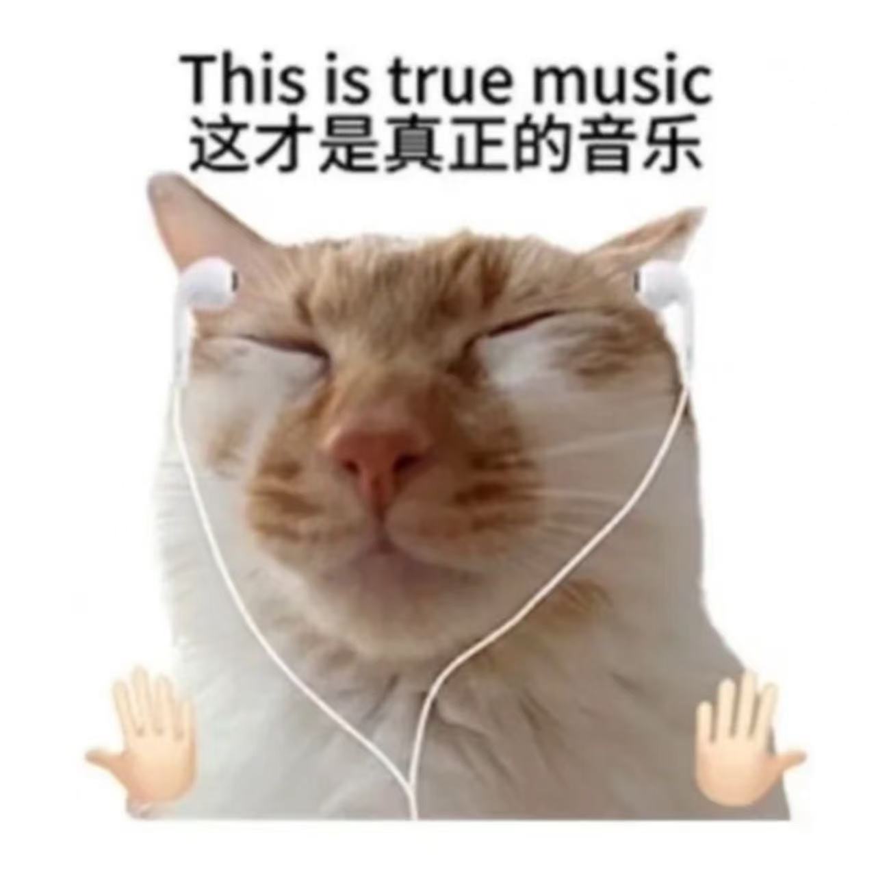 皖皖💰的图片