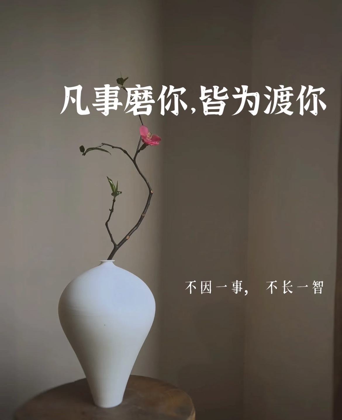 语芊🦋陪家人休的图片