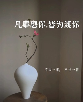 语芊🦋休主播照片