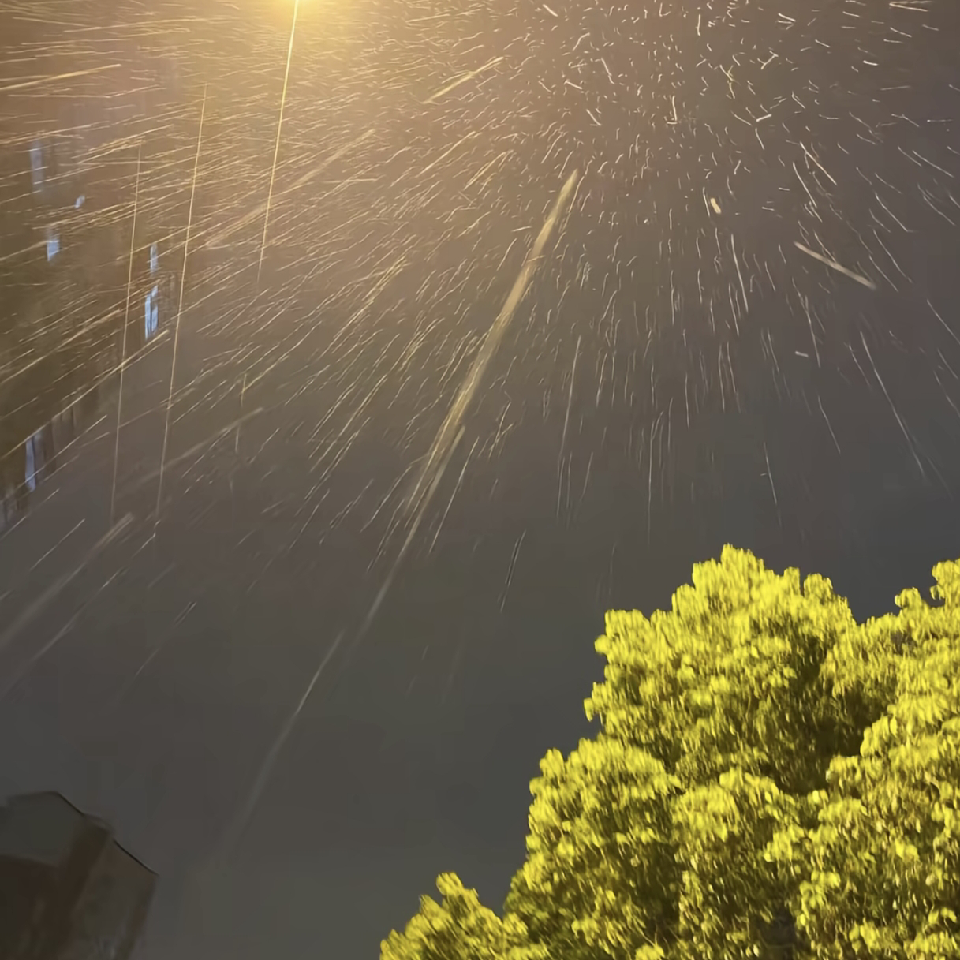 萌新宝宝bfsuj海报