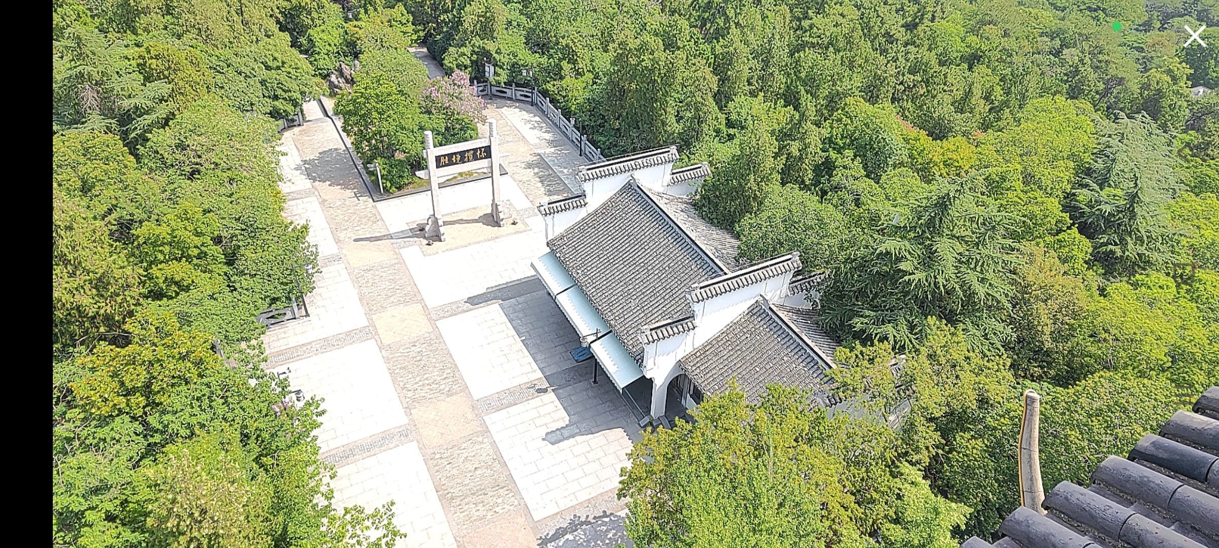 婷婷💕感恩有你陪伴的图片