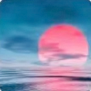 向阳花木p9