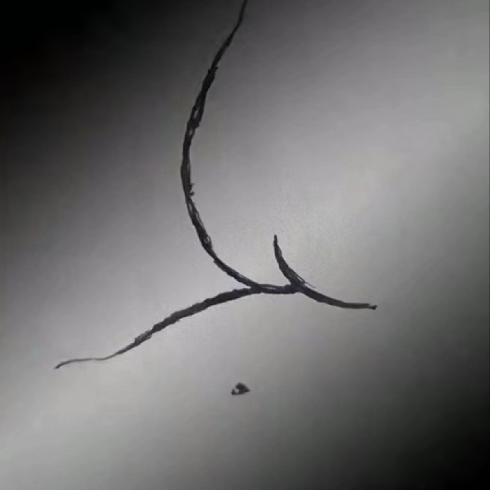 爱意随风起她爱起不起海报