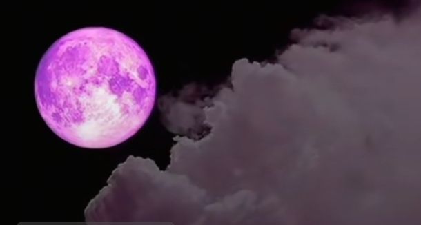 ღ᭄ꦿ心中得仁~的图片