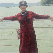 玫瑰🌹风情海报