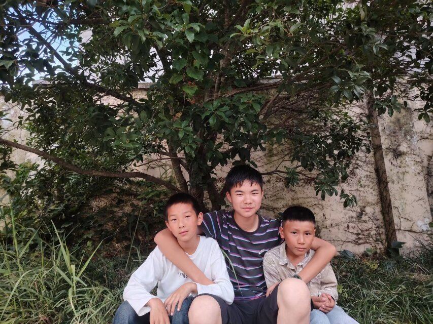 星辰大海的故事的图片