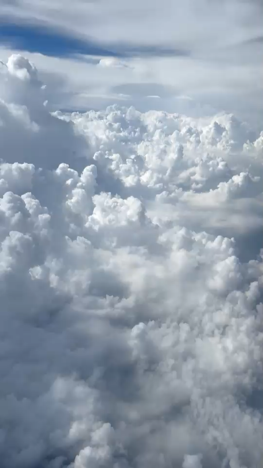 那年，恰逢你笑颜如花