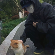 禁欲先生。