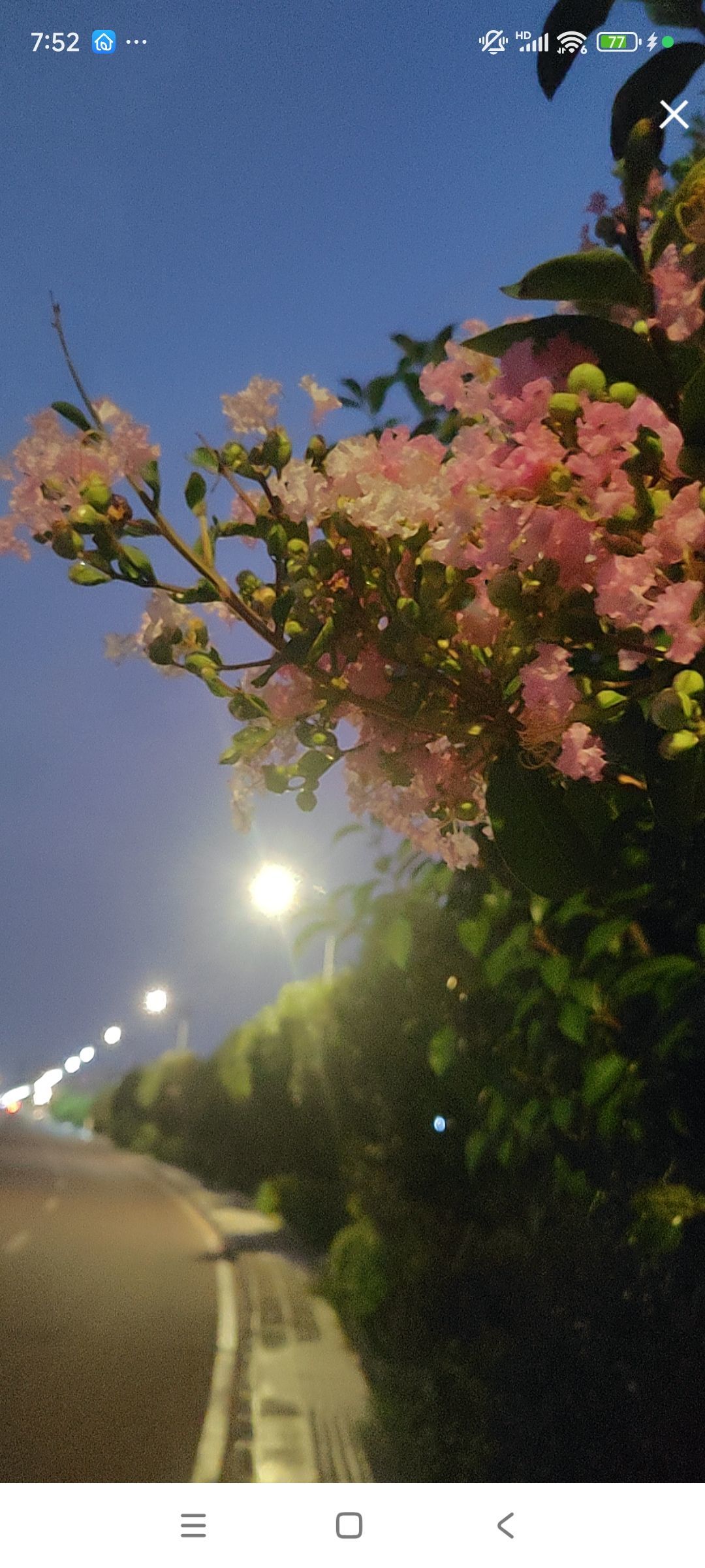 婷婷💕感恩有你陪伴的图片