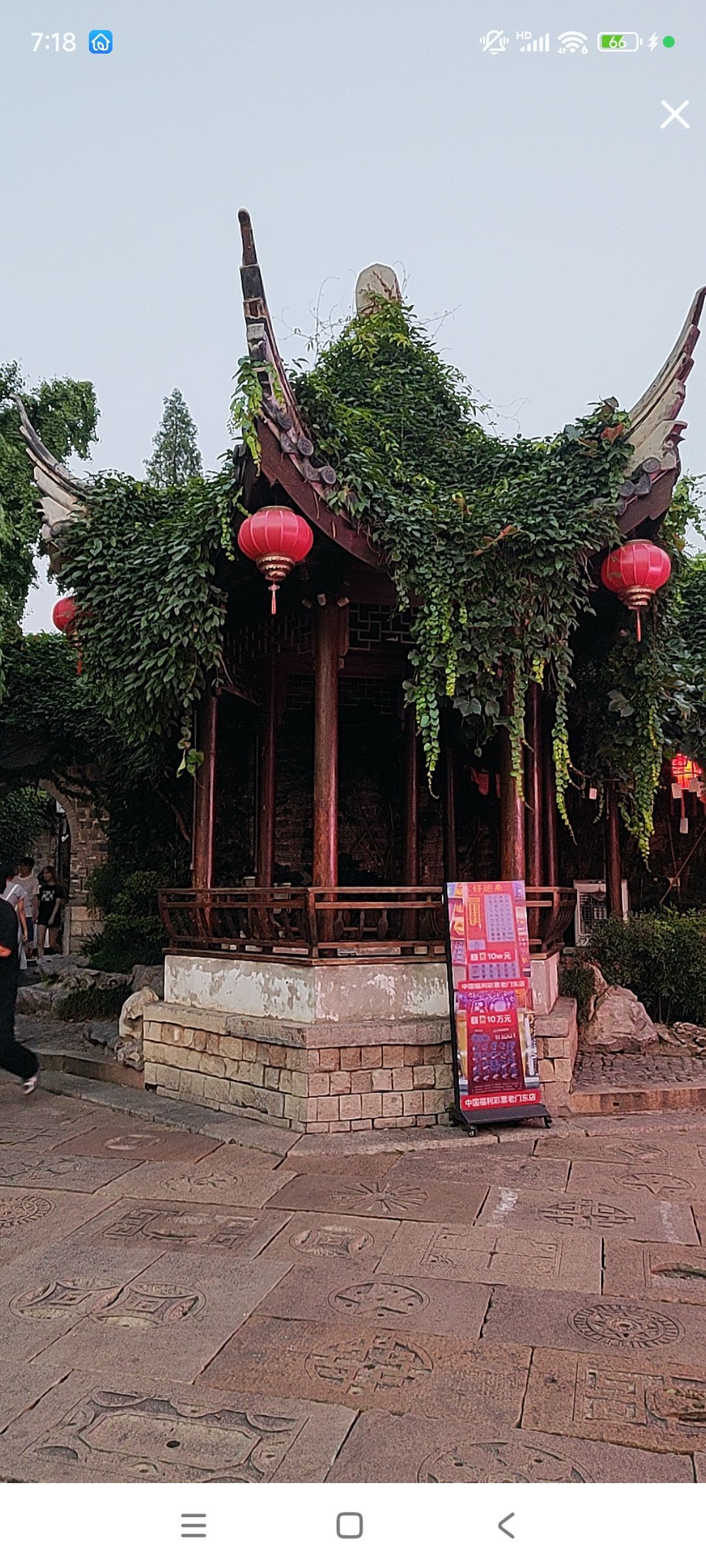 婷婷💕求过月底任务的图片