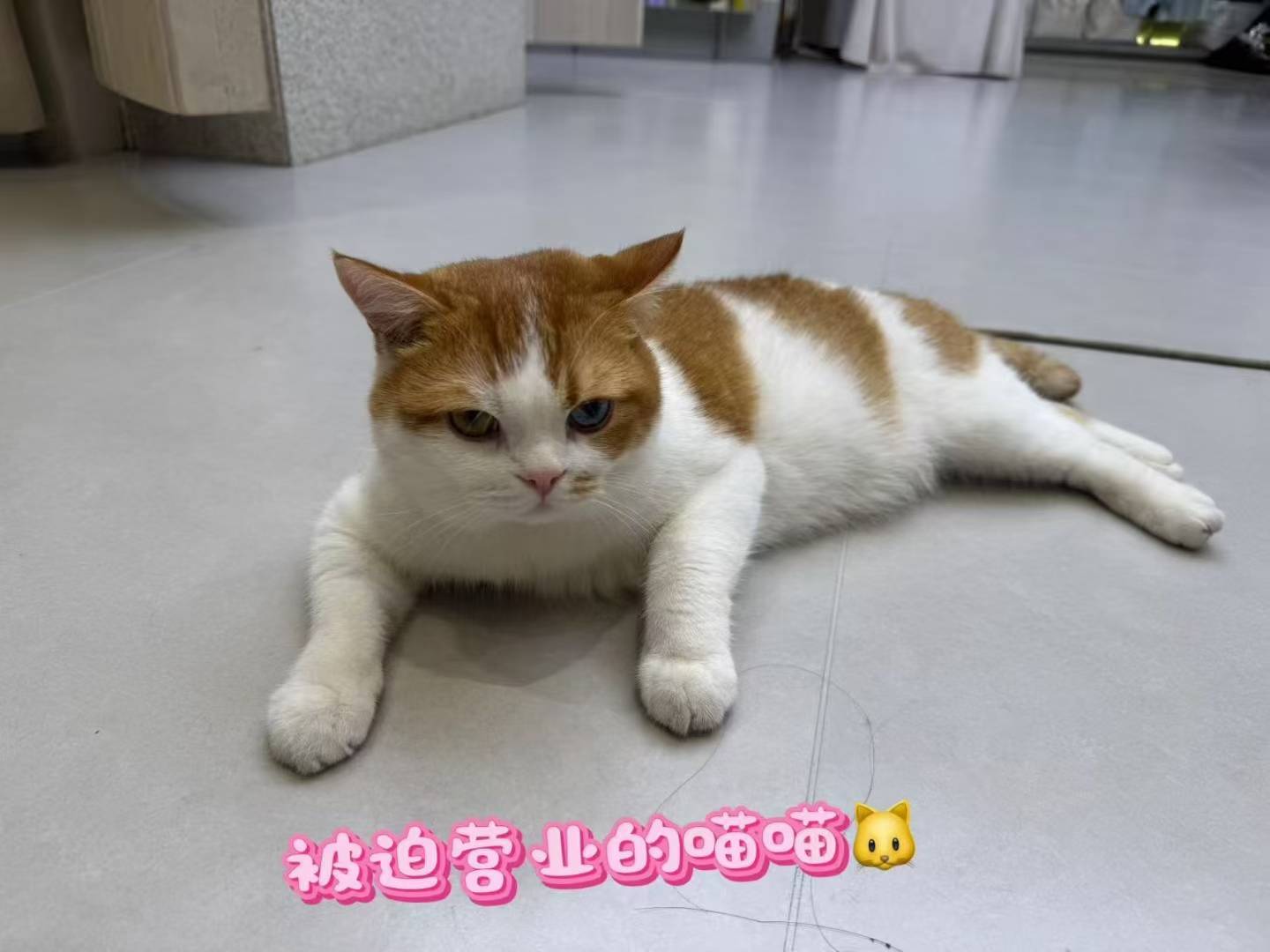 Su-苏苏♥7890的图片