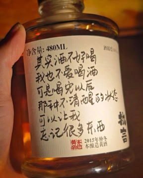 全村的失望海报