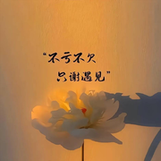 一只和煲旦