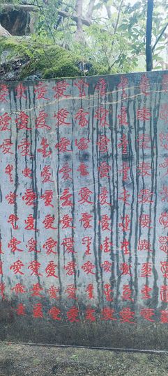 张张美人使劲播主播照片