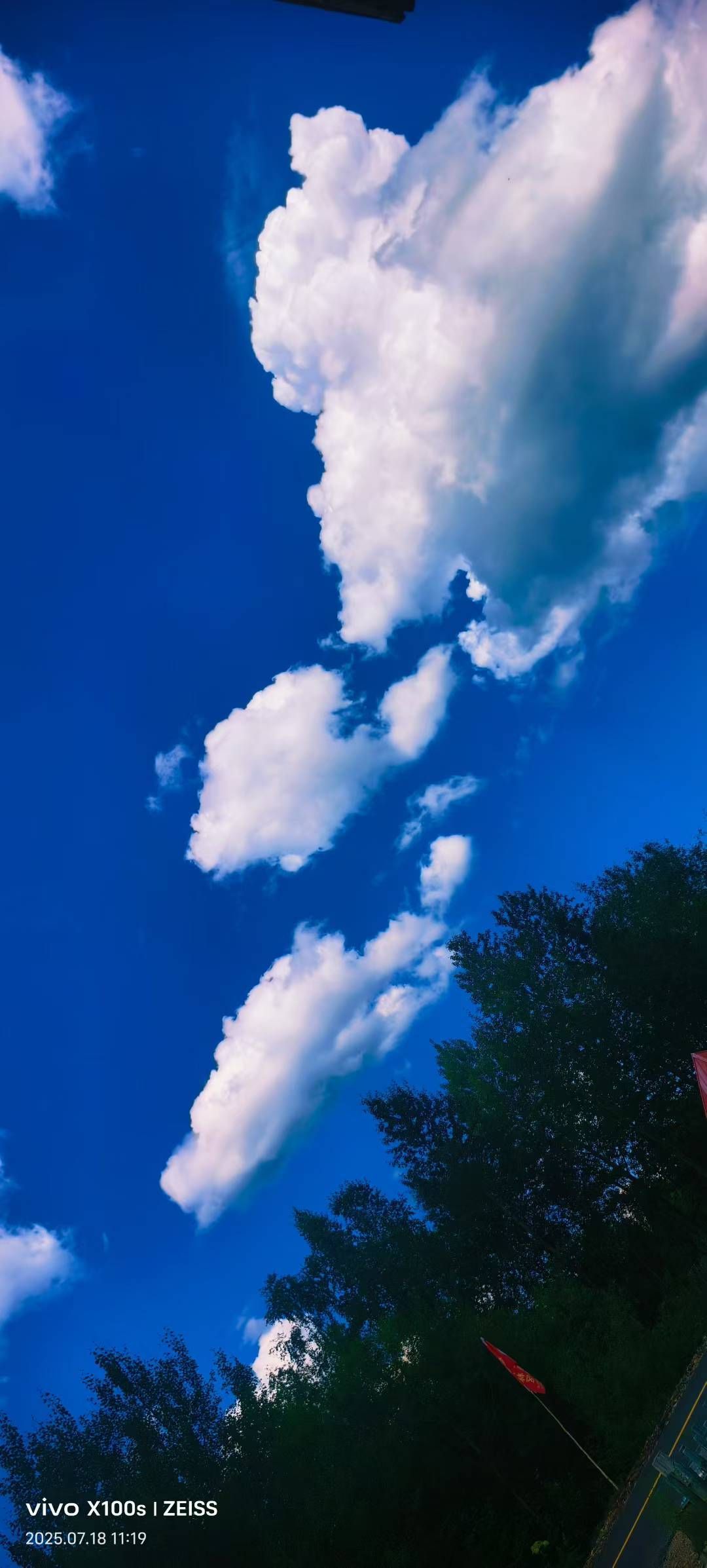 妞妞骑行宁夏银川的图片